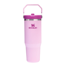Gertuvė STANLEY CLASSIC The IceFlow (0.89 l)