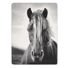 Pleds „ANIMAL LOVE“ (150x200 cm)
