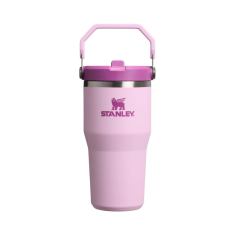 Gertuvė STANLEY CLASSIC The IceFlow (0.6 l)